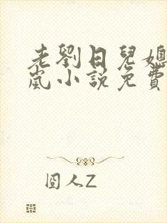 老刘日儿媳妇张岚小说免费阅读