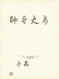 帅哥大鸟