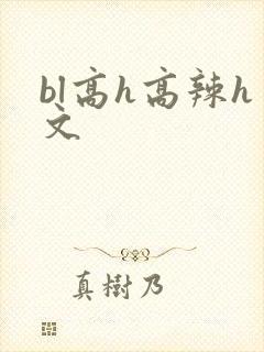 bl高h高辣h文