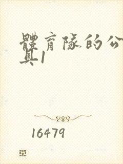 体育队的公用玩具1