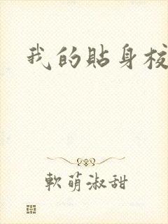 我的贴身校花