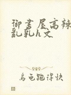 御书屋高辣h文乱乳h文