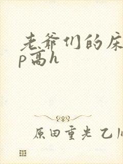 老爷们的床奴np高h