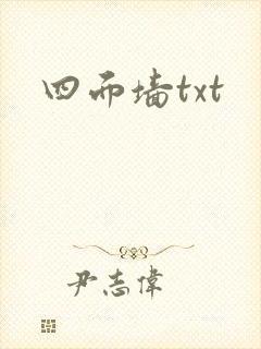 四面墙txt