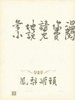 爹地请你温柔点小说免费阅读