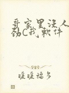 哥家里没人使点劲C我软件