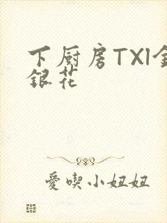 下厨房TXl金银花