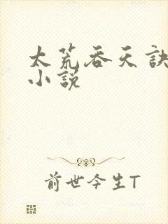 太荒吞天诀免费小说