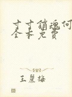 寸寸销魂何生祥全本免费