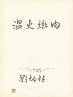 温火炖肉