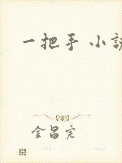 一把手 小说