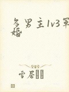 多男主1v3军婚