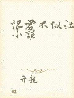 恨君不似江楼月小说