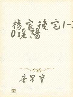 杨家后宅1-20暖阳