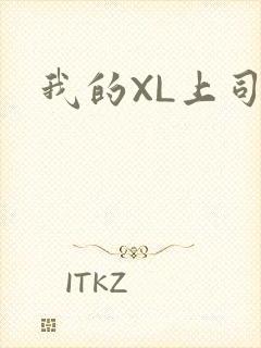 我的XL上司