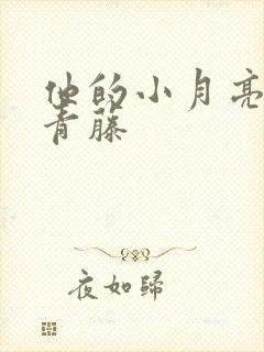 他的小月亮by青藤