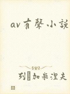 av有声小说
