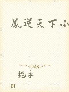 凤逆天下小说