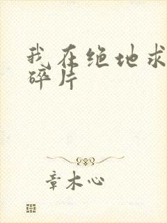 我在绝地求生捡碎片