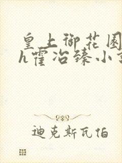 皇上御花园hlh霍冶臻小说