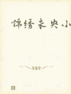 锦绣未央小说