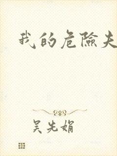 我的危险夫人