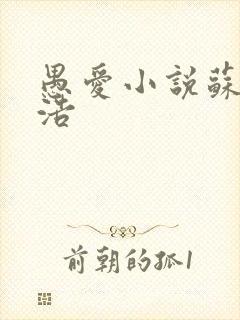 愚爱小说苏倩孙浩