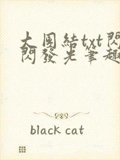 大团结txt闪闪发光笔趣阁