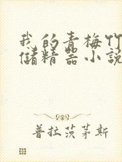 我的青梅竹马是储精器小说