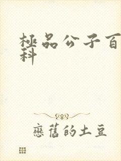 极品公子百度百科