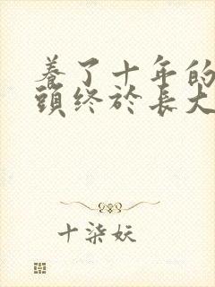 养了十年的小丫头终于长大了