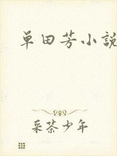 单田芳小说