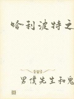 哈利波特之守护