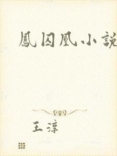凤囚凰小说