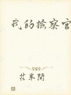 我的检察官先生