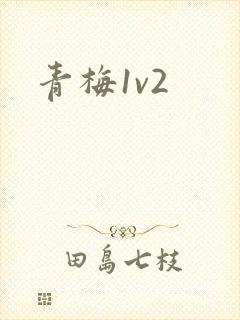 青梅1v2
