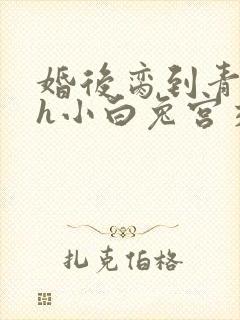 婚后脔到青梅哭h小白兔宫交h