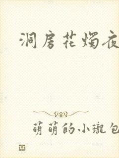 洞房花烛夜小说