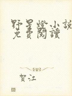 野星灯小说全文免费阅读