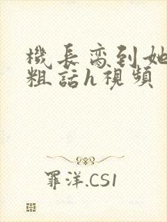 机长脔到她哭h粗话h视频