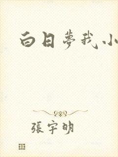 白日梦我小说