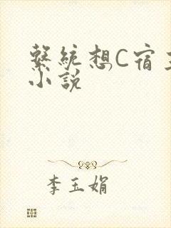 系统想C宿主的小说