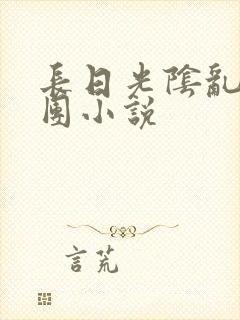 长日光阴乱作一团小说