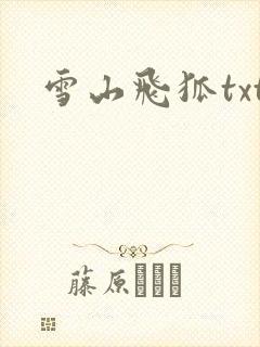 雪山飞狐txt