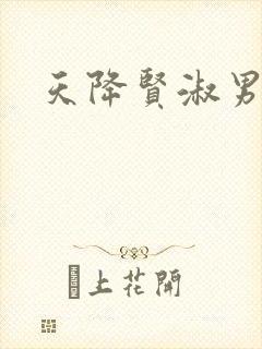 天降贤淑男小说