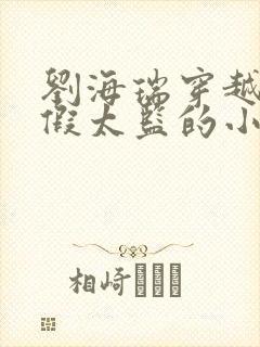 刘海瑞穿越后宫假太监的小说