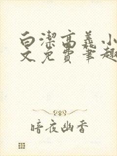 白洁高义小说全文免费笔趣阁在线阅读