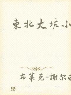 东北大坑小说