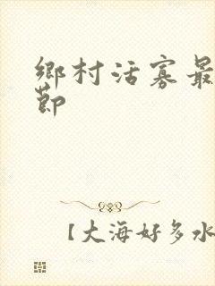 乡村活寡最新章节