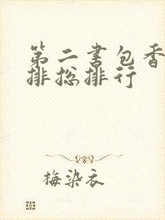 第二书包香辣肉排总排行